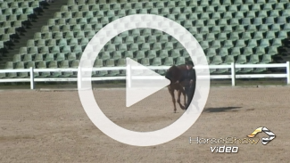 Play video